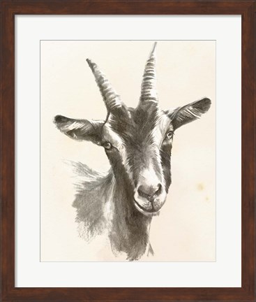 Framed Sketched Farm Portraits II Print