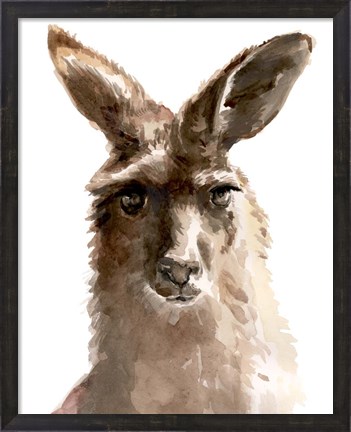 Framed Kangaroo Portrait II Print