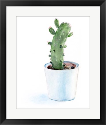 Framed Sharp Succulents II Print