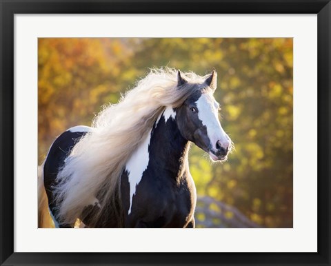 Framed Golden Lit Horse III Print