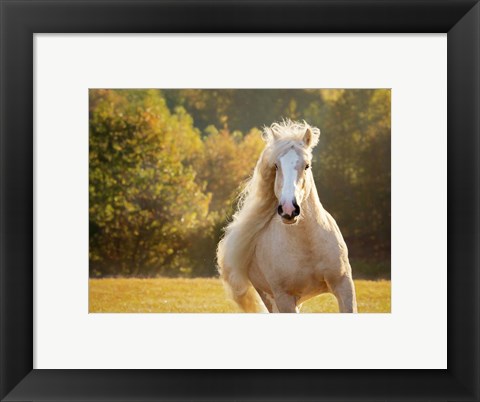 Framed Golden Lit Horse IV Print