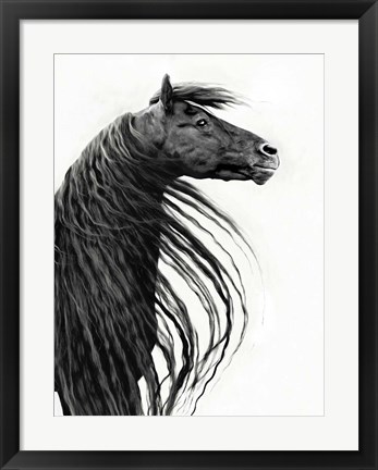 Framed Black and White Horse Portrait II Print