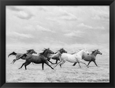 Framed Horse Run I Print