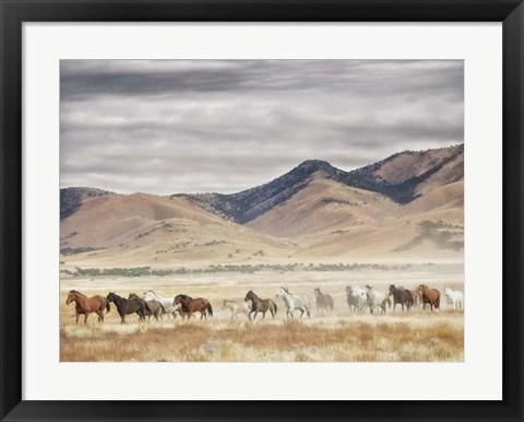 Framed Horse Run II Print