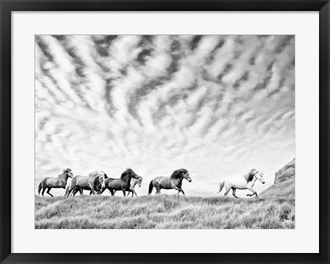 Framed Horse Run III Print