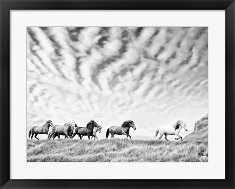 Framed Horse Run III Print