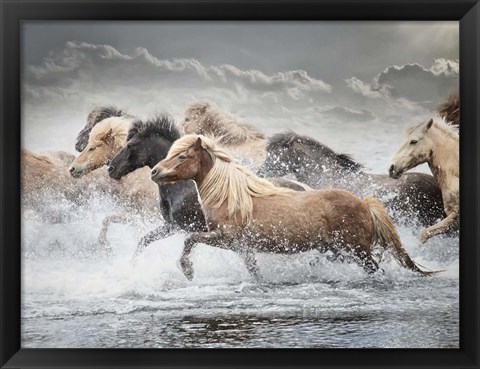 Framed Horse Run IV Print