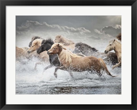 Framed Horse Run IV Print