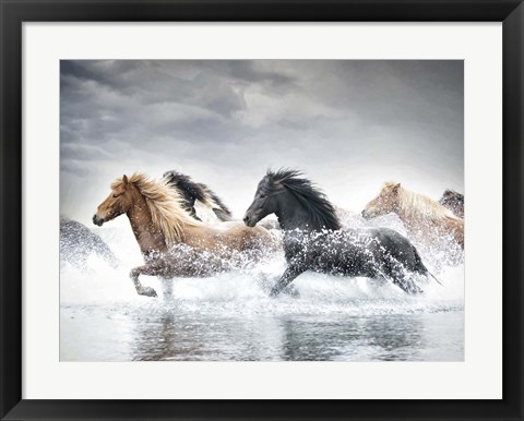 Framed Horse Run V Print