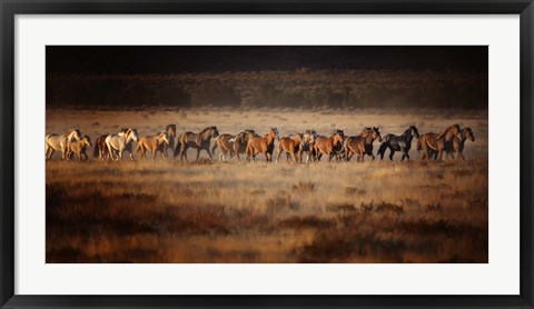 Framed Horse Run VII Print