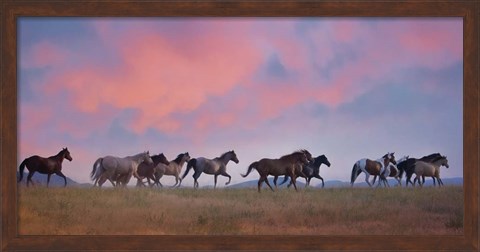 Framed Horse Run VIII Print