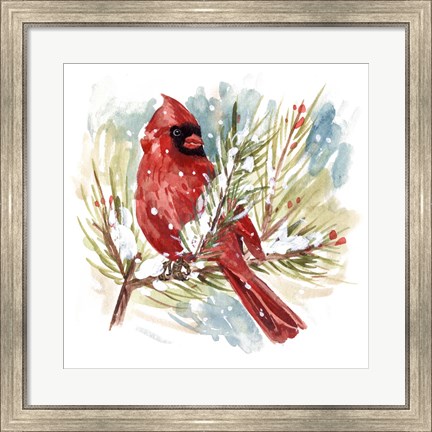 Framed Cardinal I Print