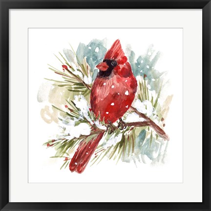 Framed Cardinal II Print