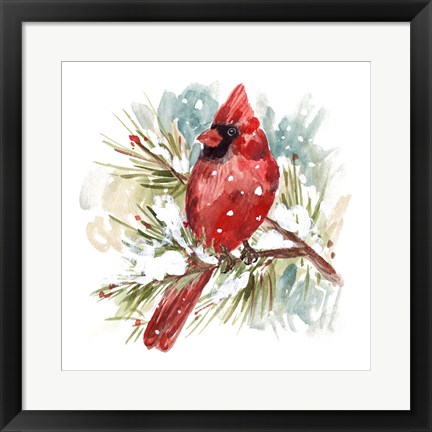 Framed Cardinal II Print