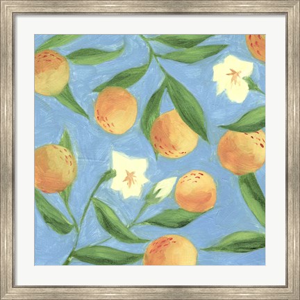 Framed Sweet Tangerine I Print