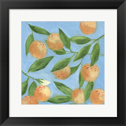 Framed Sweet Tangerine II Print