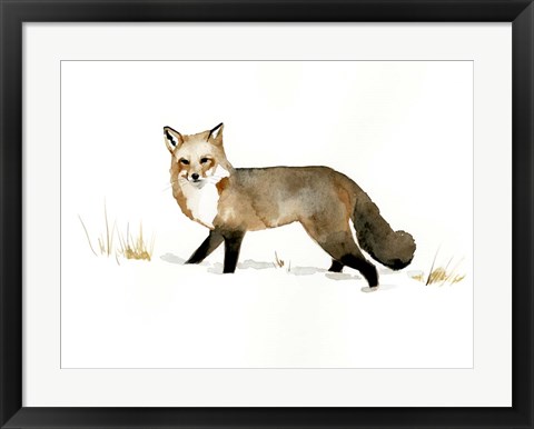 Framed Winter Fox II Print