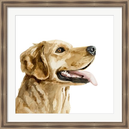 Framed Pet Profile II Print