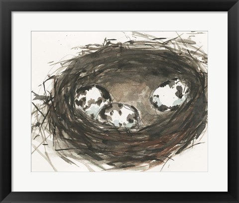 Framed Nesting Eggs II Print