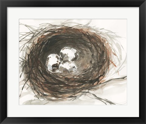 Framed Nesting Eggs III Print