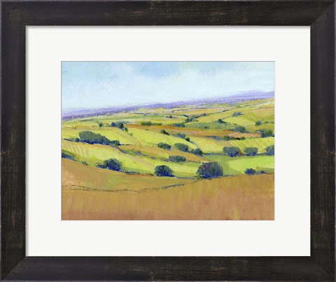 Framed Patchwork Vista I Print