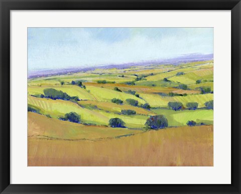 Framed Patchwork Vista I Print