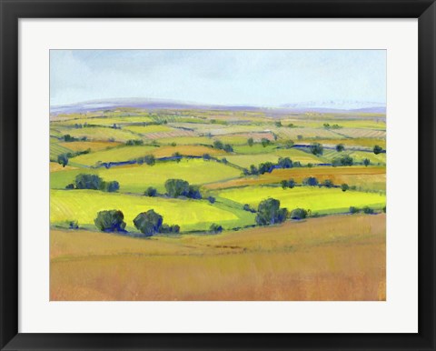 Framed Patchwork Vista II Print