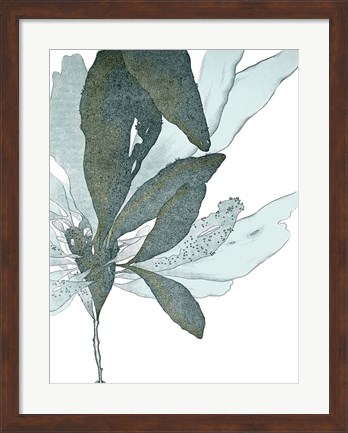 Framed Seaside Seaweed I Print