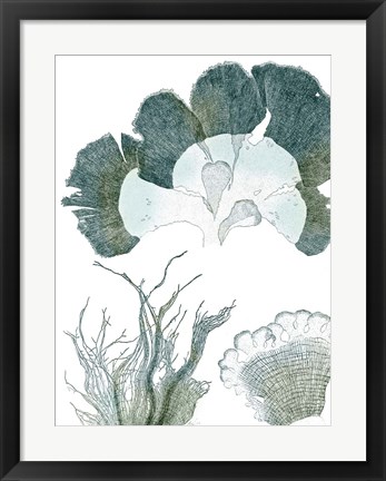 Framed Seaside Seaweed II Print