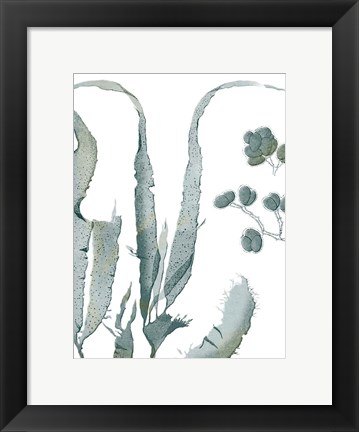 Framed Seaside Seaweed III Print