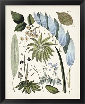 Framed Fanciful Ferns IX Print