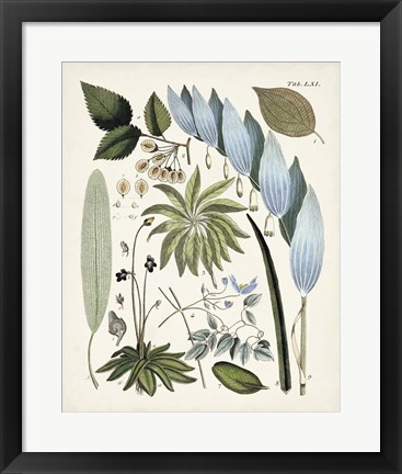 Framed Fanciful Ferns IX Print