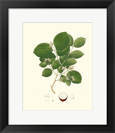 Framed Spring Green Foliage I Print