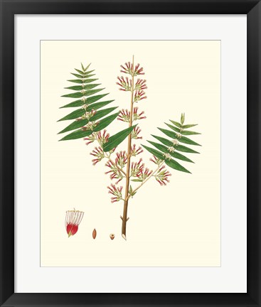 Framed Spring Green Foliage VI Print