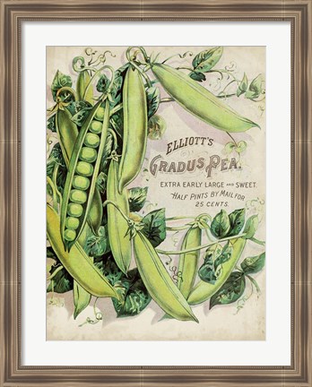 Framed Antique Seed Packets V Print