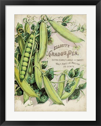 Framed Antique Seed Packets V Print