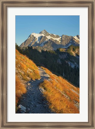 Framed Mount Shuksan North Cascades Print