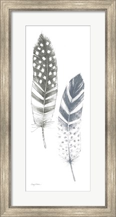 Framed Feather Sketches VIII Blue Gray Print