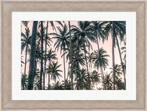 Framed Palms View on Pink Sky I Print