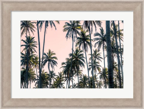 Framed Palms View on Pink Sky II Print