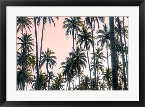 Framed Palms View on Pink Sky II Print