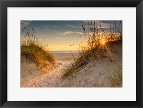 Framed Coastal Dunes Print