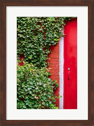 Framed Red Garden Door Print