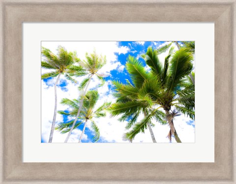 Framed Hawaii Oahu Palms Print