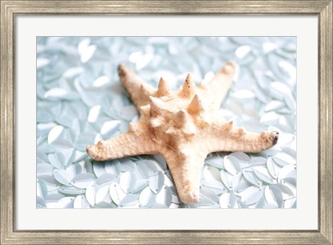 Framed Shimmer Shells II Print