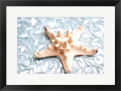 Framed Shimmer Shells II Print