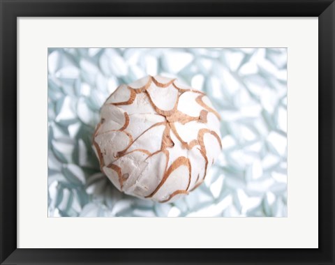 Framed Shimmer Shells I Print