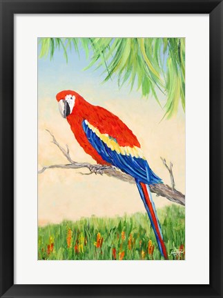 Framed Tropic Bird in Paradise I Print