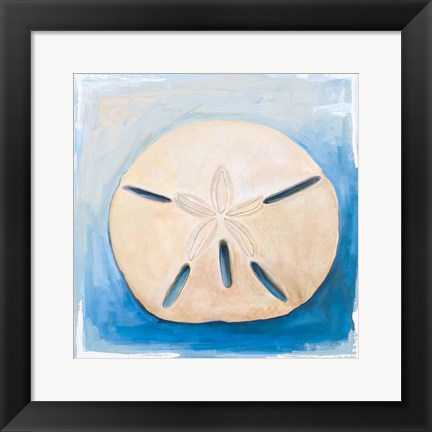 Framed Sand Dollar on Blue Print