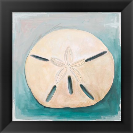 Framed Sand Dollar on Teal Print